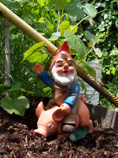 gnome