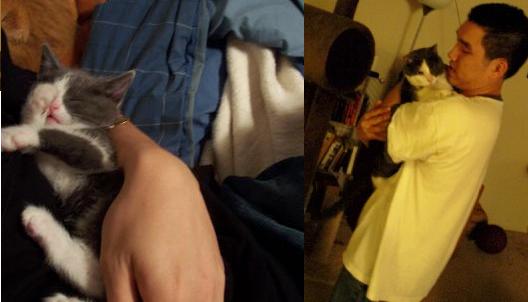 Gremio, little & big