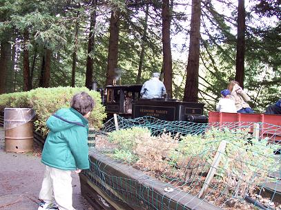 david and tilden train