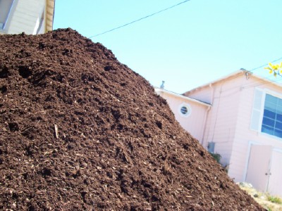 mulch