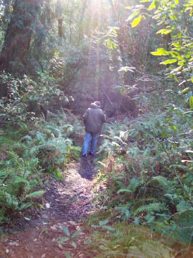 Jeffrey in the woods