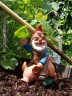 gnome